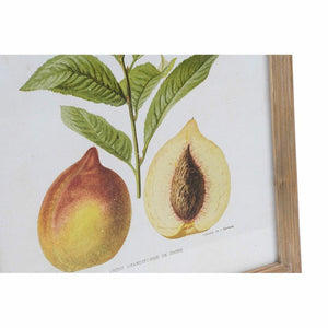 Schilderij DKD Home Decor Kristal Fruit Hout MDF (6 pcs) (45 x 2 x 60 cm)